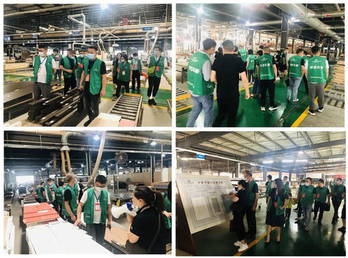 年中盛典，智造未來 619超級工廠購暨財富品鑒會圓滿落幕，揭秘購物商城定制新篇章