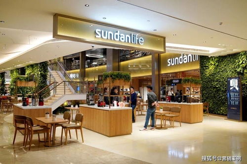 免費門店，年入400萬 購物商城定制開發的創新商業模式啟示